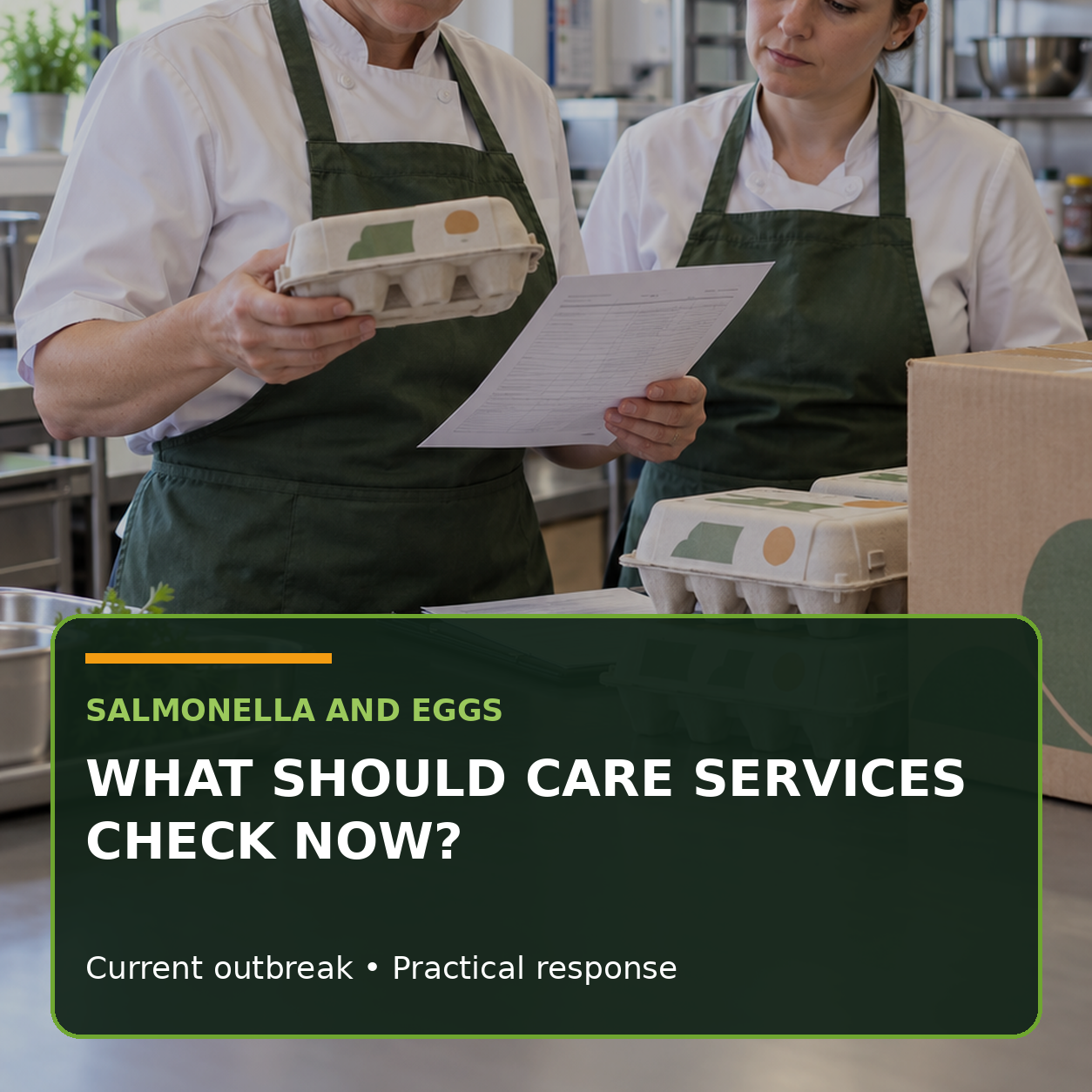 Salmonella and eggs: what should care services check now?